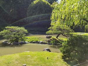 A brightly lit, very green garden. The light flares into something resembling a rainbow. There is a green pond and several trees.