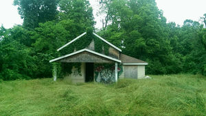 A photograph of a rundown house surrounded by overgrown grass. Ivy grows on the house. The worst 'trust' is scribbled on a column of the house's porch. There are grafitti mushrooms on the front of the house.